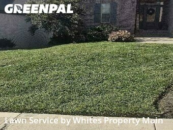 Lawn Cutting nearby Tennessee, TN, 
