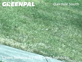 Grass Cut nearby Charlotte, NC, 