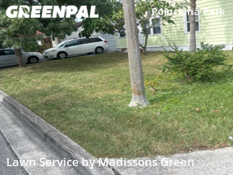 Yard Cutting nearby West Palm Beach, FL, 