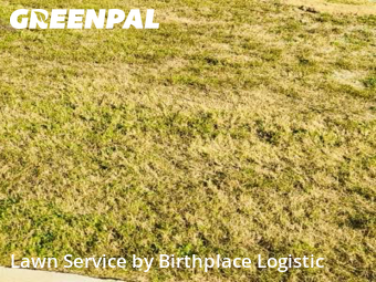 Yard Cutting nearby Hockley, TX, 