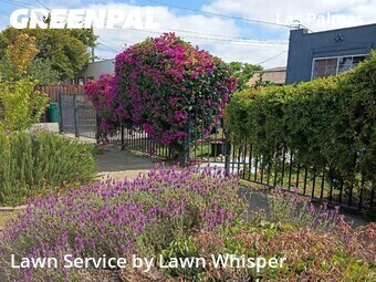 Commercial Landscaping In Oakland,94603,Landscaping Maintenance by Lawn Whisper , work completed in Jun , 2026