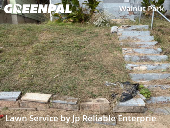 Yard Cutting nearby St. Louis, IL, 