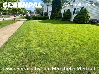 Grass Cut nearby Naperville, IL, 