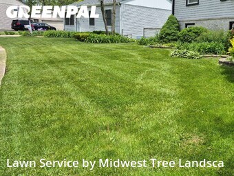 Yard Cutting nearby Orland Park, IL, 