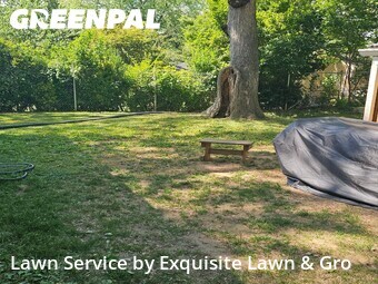 Grass Cutting nearby Silver Spring, DC, 