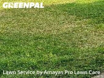 Lawn Mowing Service nearby Corpus Christi, TX, 