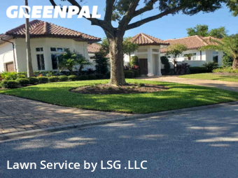 Grass Cutting nearby Ponte Vedra Beach, FL, 