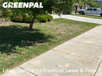 Lawn Mowing nearby Seguin, TX, 