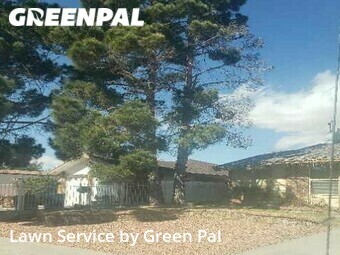 Yard Mowing nearby El Paso, TX, 