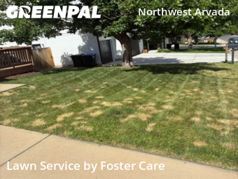 Lawn Cutting nearby Arvada, CO, 