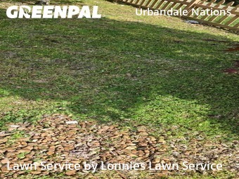 Landscaping Cleanup In Nashville,37209,Landscape Design by Lonnies Lawn Service, work completed in Apr , 2026