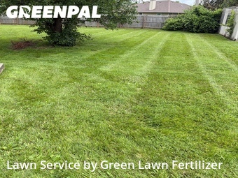 Grass Cut nearby Springfield, MO, 