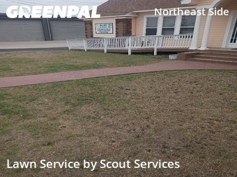 Yard Cutting nearby Converse, TX, 