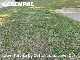 Lawn Mow nearby Norfolk, VA, 