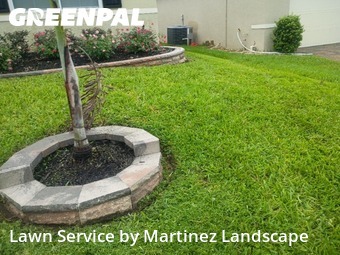 Lawn Mow nearby Tavares, FL, 
