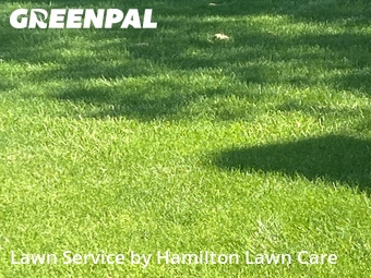 Grass Cutting nearby Noblesville, IN, 