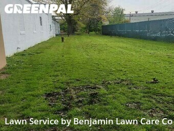 Lawn Mow nearby South Plainfield, NJ, 