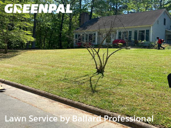 Yard Cutting nearby Durham, NC, 