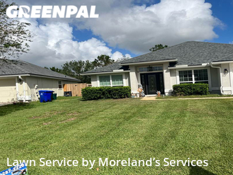 Lawn Cut nearby St. Augustine, FL, 
