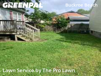 Lawn Care nearby Hampton, VA, 