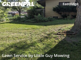 Grass Cut nearby Lincoln, NE, 