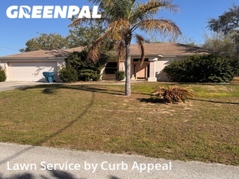 Lawn Care nearby Spring Hill, FL, 