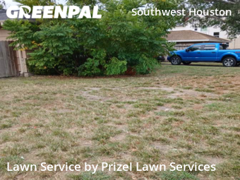 Lawn Carein Bellaire,77401,Lawn Cut by Prizel Lawn Services, work completed in Dec , 2025