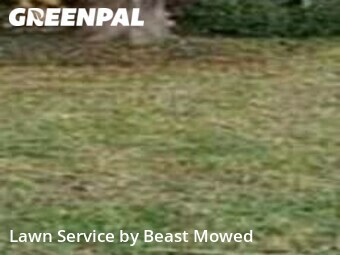 Lawn Service nearby Tampa, FL, 