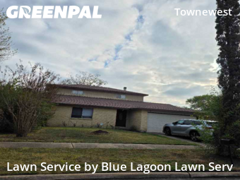 Yard Cuttingin Sugar Land,77498,Lawn Cut by Blue Lagoon Lawn Serv, work completed in Dec , 2025