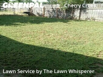 Yard Mowing nearby Elverta, CA, 