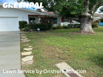 Lawn Cut nearby Dunedin, FL, 