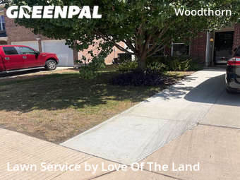 Lawn Cut nearby San Antonio, TX, 