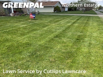 Grass Cutting nearby Springfield, OH, 
