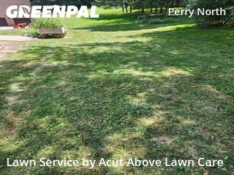 Lawn Cut nearby Pittsburgh, PA, 