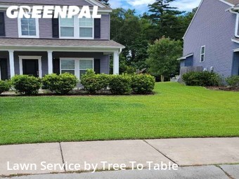Lawn Mowing Service nearby Charleston, SC, 