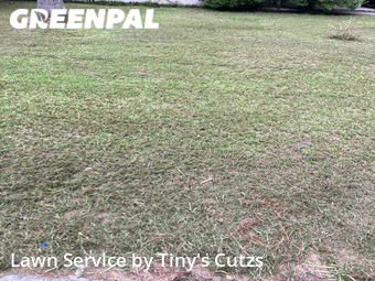 Lawn Maintenance nearby Valdosta, GA, 