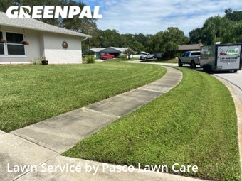 Lawn Mow nearby Palm Harbor, FL, 