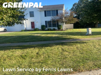 Lawn Cut nearby Lancaster, NY, 