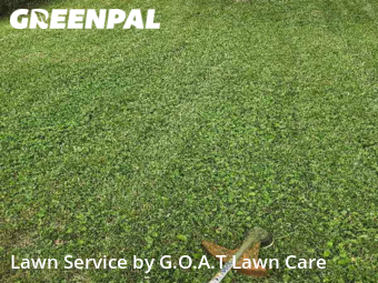 Yard Cutting nearby Independence, MO, 