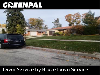 Lawn Mowing nearby Park Ridge, IL, 