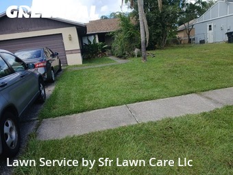 Grass Cutin Oldsmar,34677,Yard Mowing by Sfr Lawn Care Llc, work completed in Jan , 2026