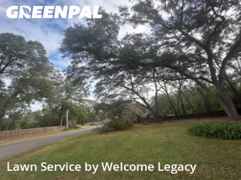 Grass Care in Gainesville, 32607, Lawn Work by Welcome Legacy , work completed in Dec , 2025