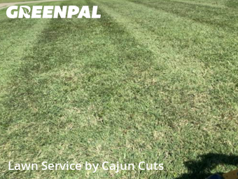 Yard Cutting nearby Christiana, TN, 