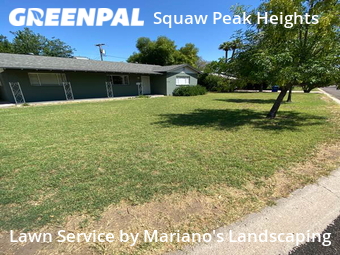Lawn Cutting nearby Phoenix, AZ, 