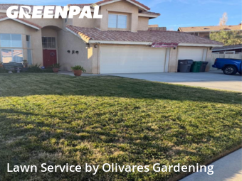 Affordable Landscaping In Palmdale,93550,Landscaping Installation by Olivares Gardening , work completed in Dec , 2025