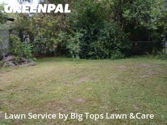 Lawn Mowin Altamonte Springs,32701,Lawn Care Service by Big Tops Lawn &Care, work completed in Nov , 2025
