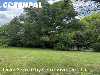 Grass Cut nearby Birmingham, AL, 