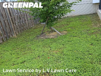 Yard Cutting nearby Woodbridge, VA, 