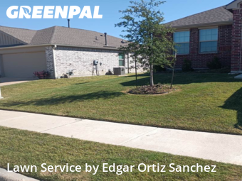 Yard Cutting in Princeton, 75407, Lawn Management by Edgar Ortiz Sanchez, work completed in Nov , 2025