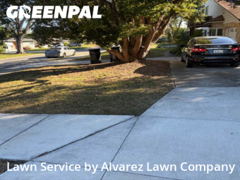 Lawn Maintenancein Winter Park,32789,Lawn Cut by Alvarez Lawn Company, work completed in Feb , 2026